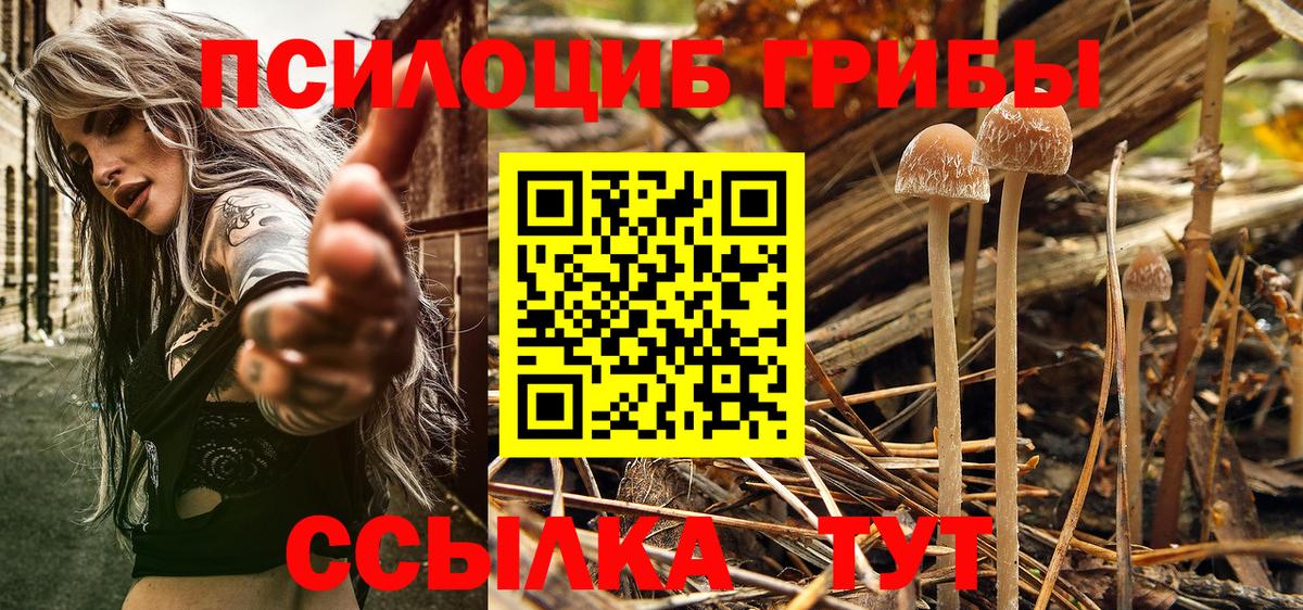 Елец  Псилоцибиновые грибы мицелий  Галлюциногенные грибы Magic Shrooms  Вход с VPN 
